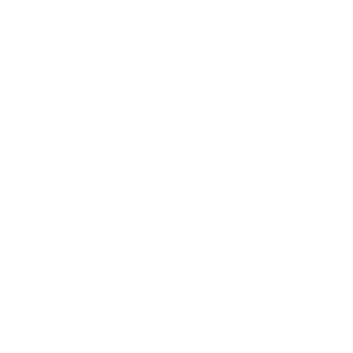 interfjæs